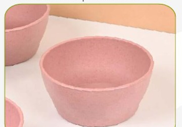 Elara Bowl