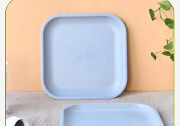 Square Snack Plate