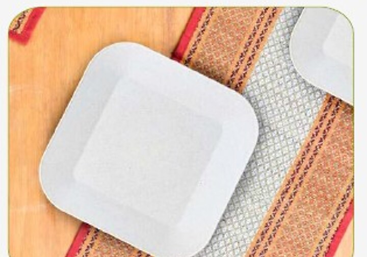 Picnic Plate