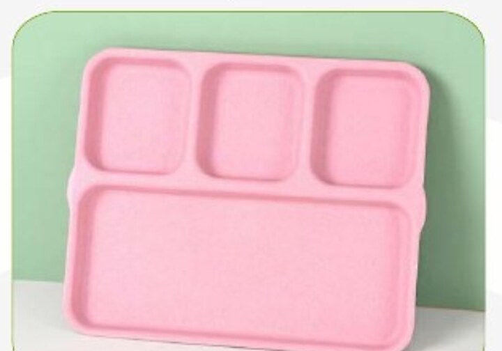 4 Partition Plate