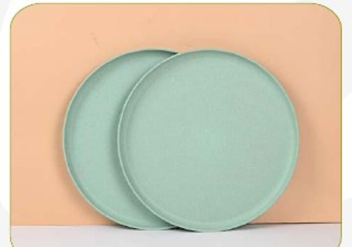 FV Dinner Plate