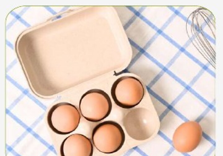 Egg Tray