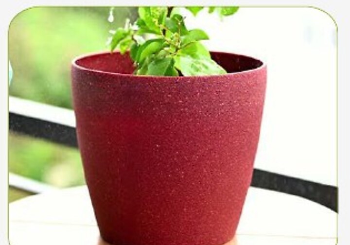 Deco Self-watering Pot