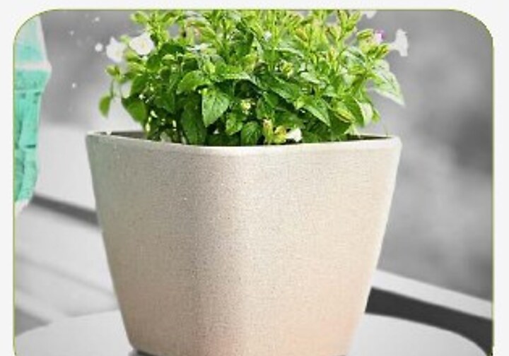 Daisy Self-watering Pot