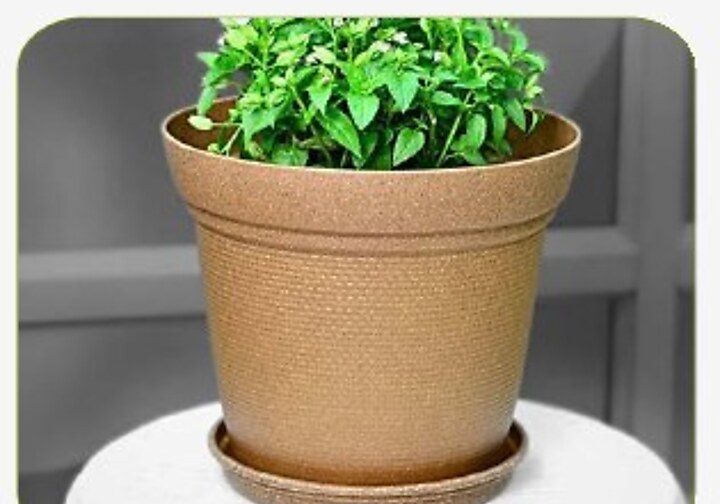 Aura Pot with Tray