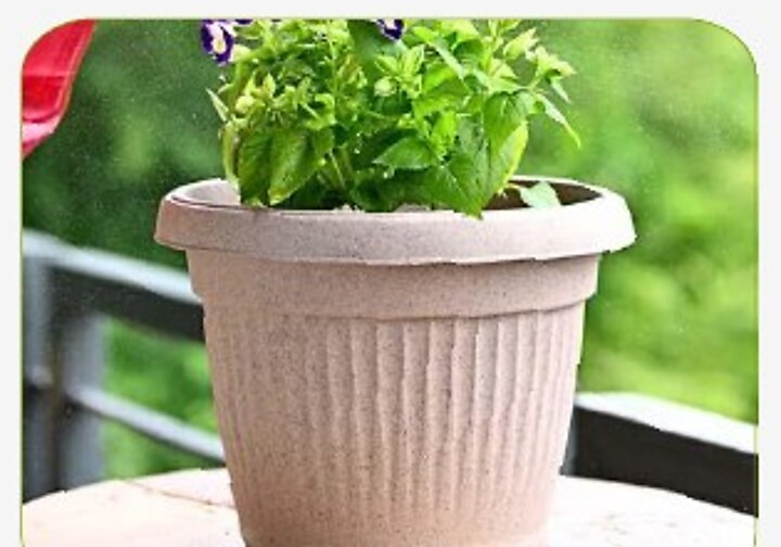 Bella Round Pot