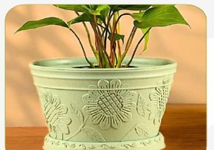 Nile Planter