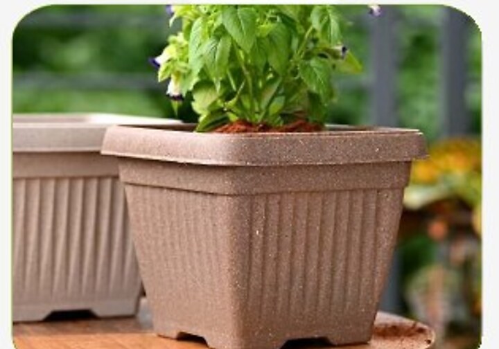 Bella Square Pot