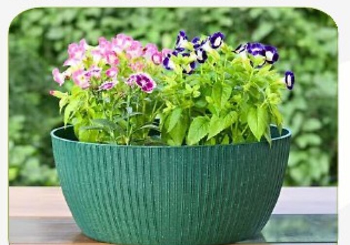 Naturenest Planter