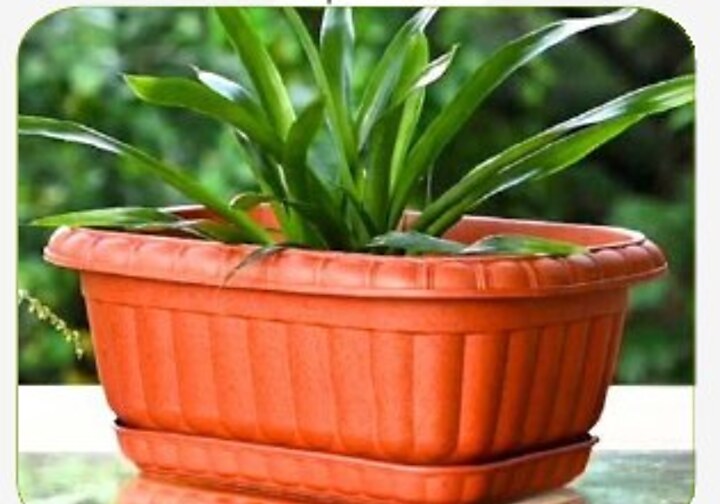Grow Lite Planter