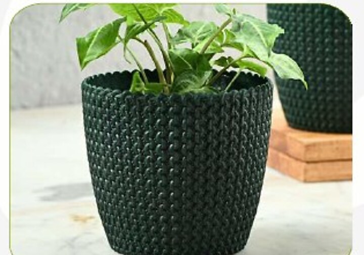 Link Planter