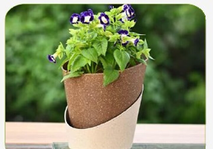 Ecobloom Self-watering Pot
