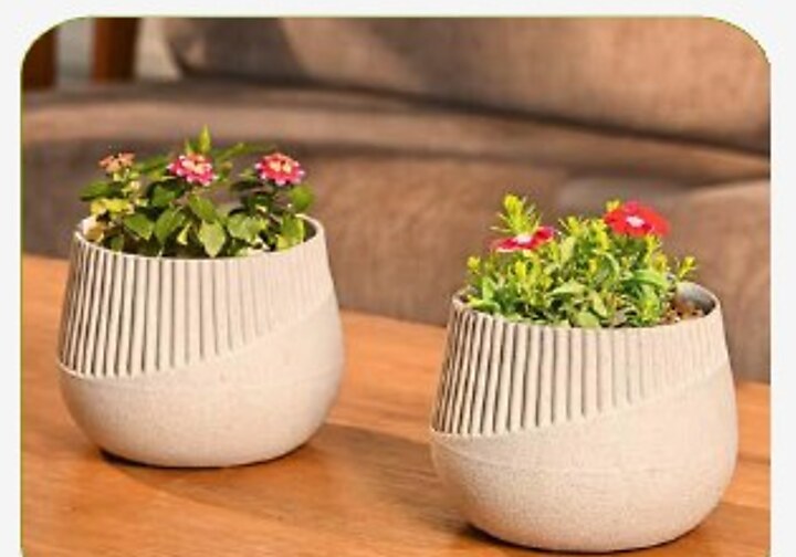 Oreo Tabletop Pot