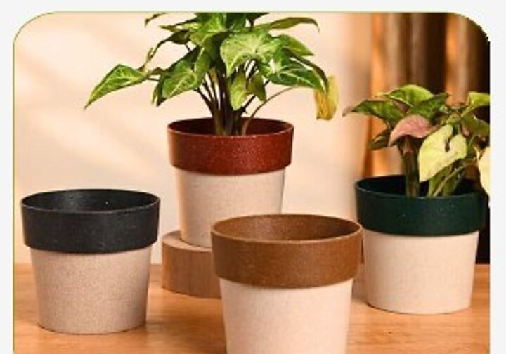 Ecopod Tabletop Pot