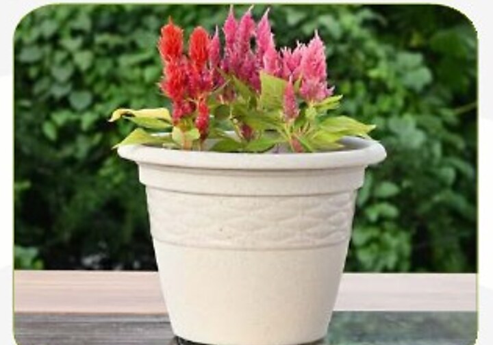Verdant Planter