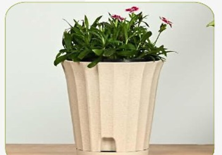 Ace Planter