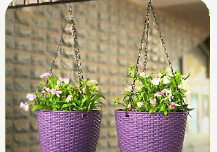 Lush Hanging Planter