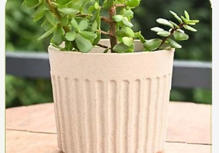 Romano Planter