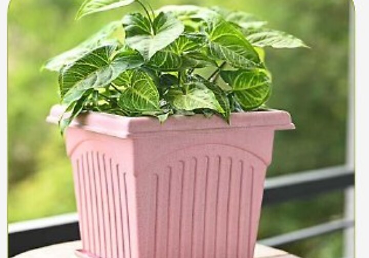 Archway Planter