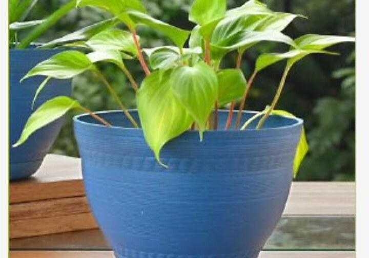 Ripple Planter