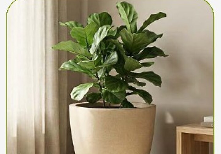 Deco Large Planter