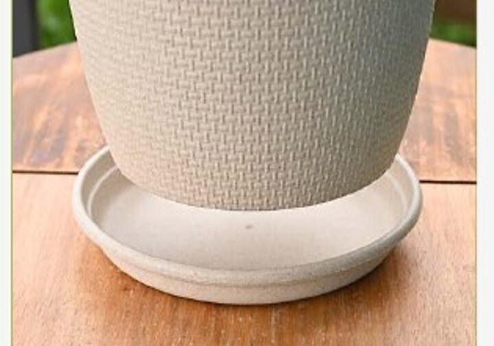 Planter Tray